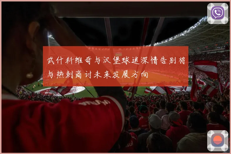 武什科维奇与汉堡球迷深情告别将与热刺商讨未来发展方向