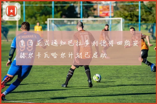 皇马正式通知巴拉多利德将回购安赫尔卡瓦哈尔计划已启动