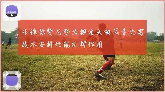 韦德称赞戈登为掘金关键因素无需战术安排也能发挥作用