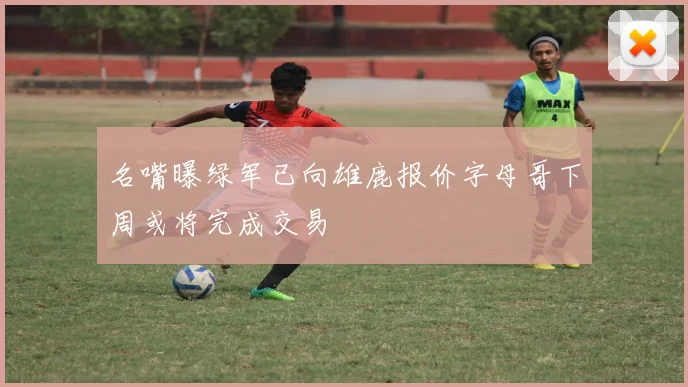 名嘴曝绿军已向雄鹿报价字母哥下周或将完成交易