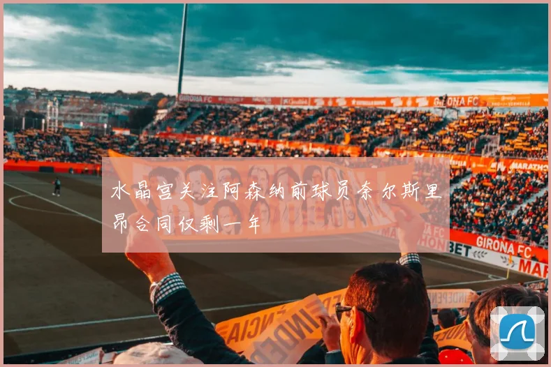 水晶宫关注阿森纳前球员奈尔斯里昂合同仅剩一年